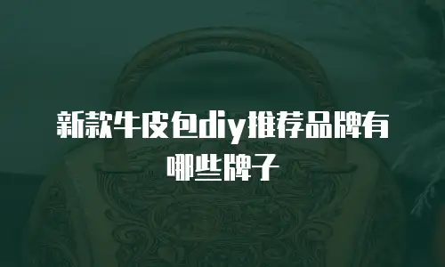 新款牛皮包diy推荐品牌有哪些牌子
