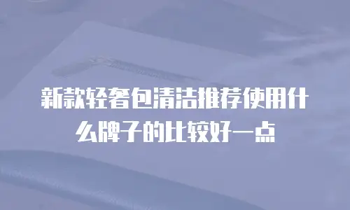 新款轻奢包清洁推荐使用什么牌子的比较好一点
