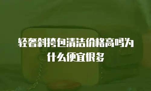 轻奢斜挎包清洁价格高吗为什么便宜很多