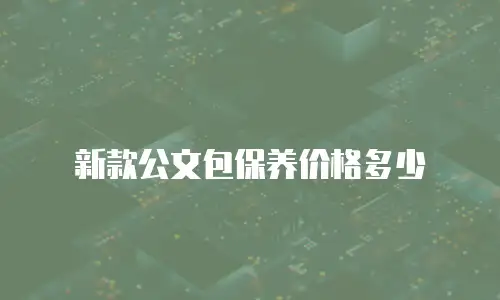 新款公文包保养价格多少