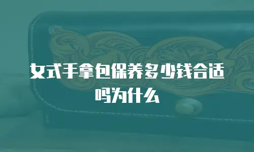 女式手拿包保养多少钱合适吗为什么