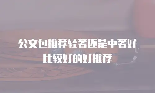 公文包推荐轻奢还是中奢好比较好的好推荐