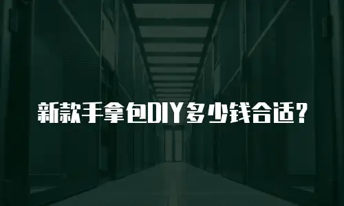 新款手拿包DIY多少钱合适？