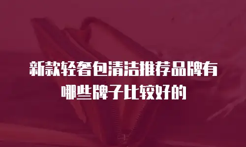 新款轻奢包清洁推荐品牌有哪些牌子比较好的