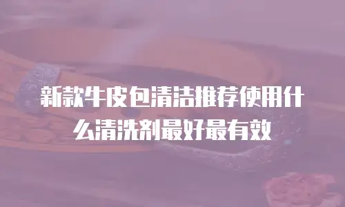 新款牛皮包清洁推荐使用什么清洗剂最好最有效