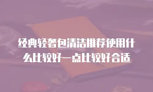 经典轻奢包清洁推荐使用什么比较好一点比较好合适