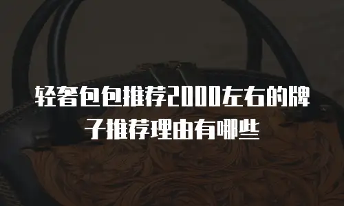 轻奢包包推荐2000左右的牌子推荐理由有哪些