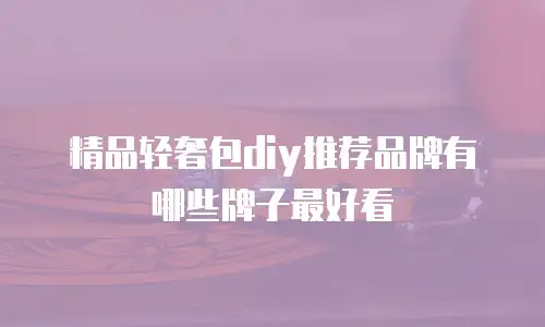 精品轻奢包diy推荐品牌有哪些牌子最好看