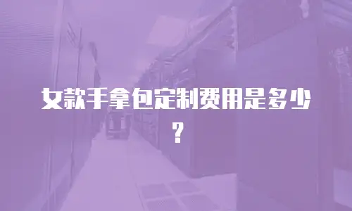 女款手拿包定制费用是多少？