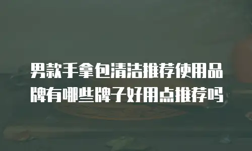 男款手拿包清洁推荐使用品牌有哪些牌子好用点推荐吗