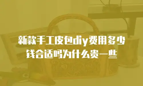 新款手工皮包diy费用多少钱合适吗为什么贵一些