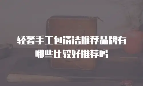 轻奢手工包清洁推荐品牌有哪些比较好推荐吗