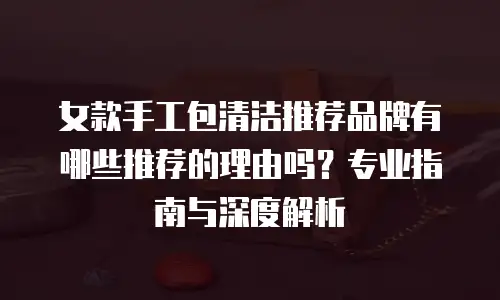 女款手工包清洁推荐品牌有哪些推荐的理由吗？专业指南与深度解析