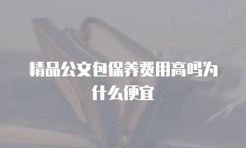 精品公文包保养费用高吗为什么便宜