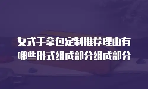 女式手拿包定制推荐理由有哪些形式组成部分组成部分