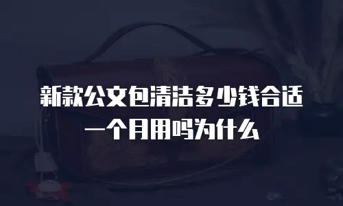 新款公文包清洁多少钱合适一个月用吗为什么
