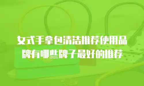 女式手拿包清洁推荐使用品牌有哪些牌子最好的推荐