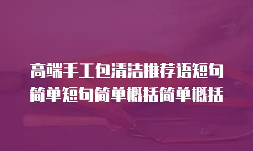 高端手工包清洁推荐语短句简单短句简单概括简单概括