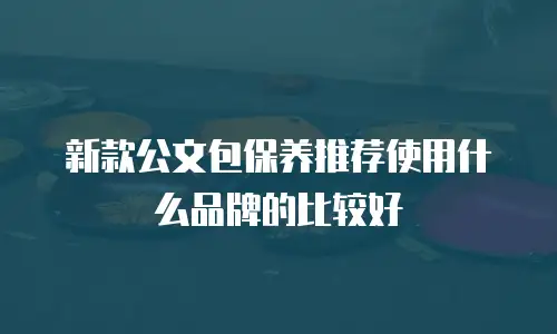 新款公文包保养推荐使用什么品牌的比较好