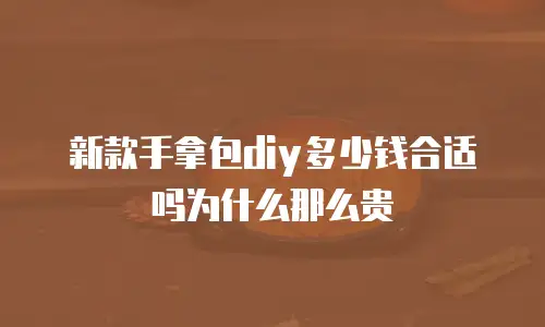 新款手拿包diy多少钱合适吗为什么那么贵