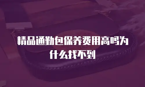 精品通勤包保养费用高吗为什么找不到