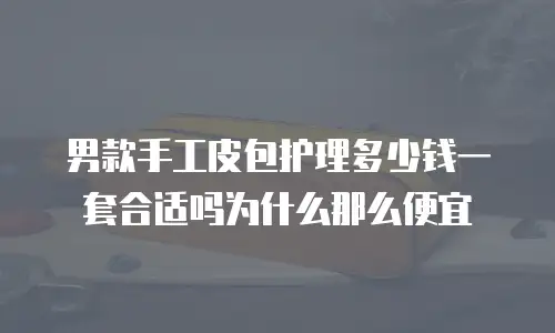 男款手工皮包护理多少钱一套合适吗为什么那么便宜