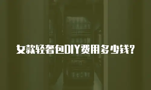 女款轻奢包DIY费用多少钱？