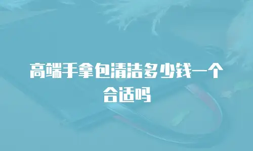 高端手拿包清洁多少钱一个合适吗