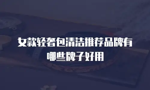 女款轻奢包清洁推荐品牌有哪些牌子好用