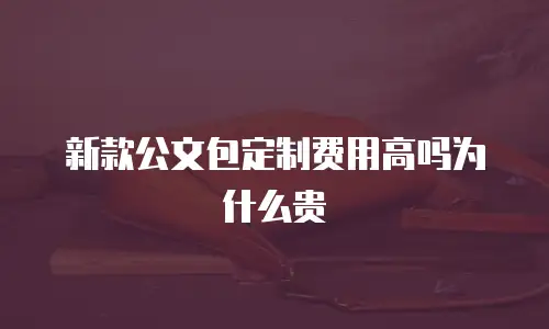 新款公文包定制费用高吗为什么贵