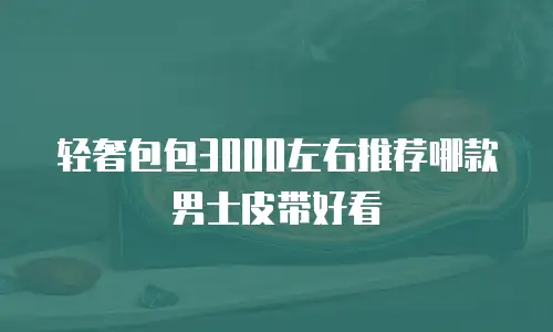 轻奢包包3000左右推荐哪款男士皮带好看