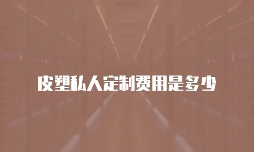 皮塑私人定制费用是多少