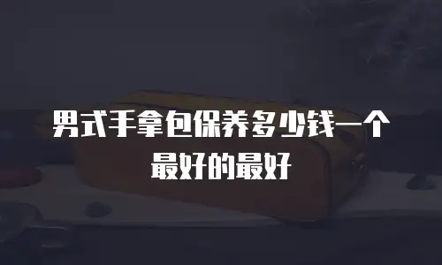 男式手拿包保养多少钱一个最好的最好
