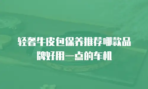 轻奢牛皮包保养推荐哪款品牌好用一点的车机