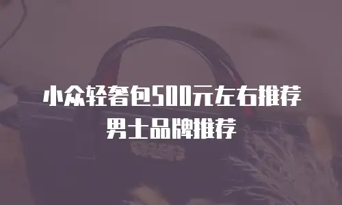 小众轻奢包500元左右推荐男士品牌推荐