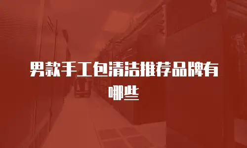 男款手工包清洁推荐品牌有哪些