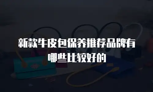 新款牛皮包保养推荐品牌有哪些比较好的