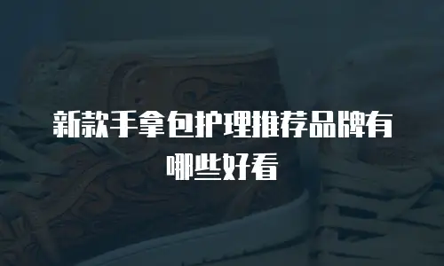 新款手拿包护理推荐品牌有哪些好看