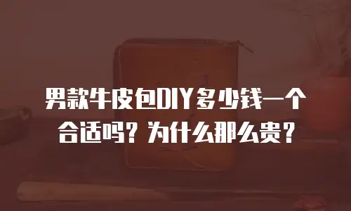 男款牛皮包DIY多少钱一个合适吗？为什么那么贵？
