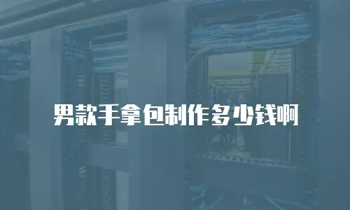 男款手拿包制作多少钱啊