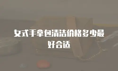 女式手拿包清洁价格多少最好合适