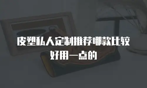 皮塑私人定制推荐哪款比较好用一点的