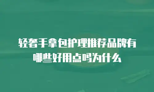 轻奢手拿包护理推荐品牌有哪些好用点吗为什么
