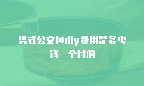 男式公文包diy费用是多少钱一个月的