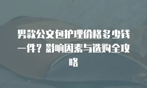 男款公文包护理价格多少钱一件？影响因素与选购全攻略 