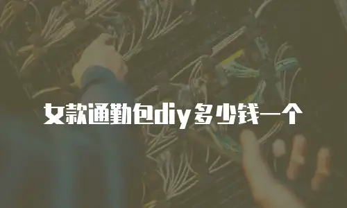女款通勤包diy多少钱一个