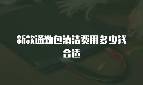 新款通勤包清洁费用多少钱合适