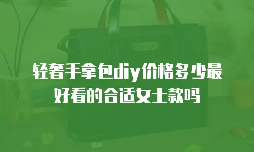 轻奢手拿包diy价格多少最好看的合适女士款吗