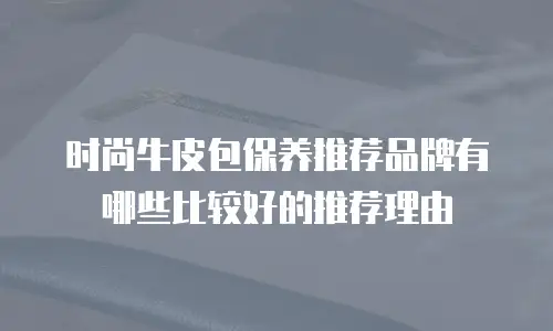 时尚牛皮包保养推荐品牌有哪些比较好的推荐理由