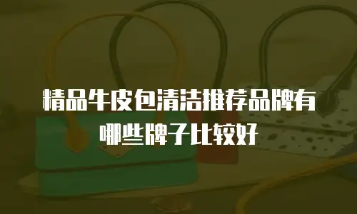 精品牛皮包清洁推荐品牌有哪些牌子比较好
